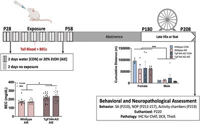 Exercise leads to sex-specific recovery of behavior and pathological AD markers following adolescent ethanol exposure in the TgF344-AD model